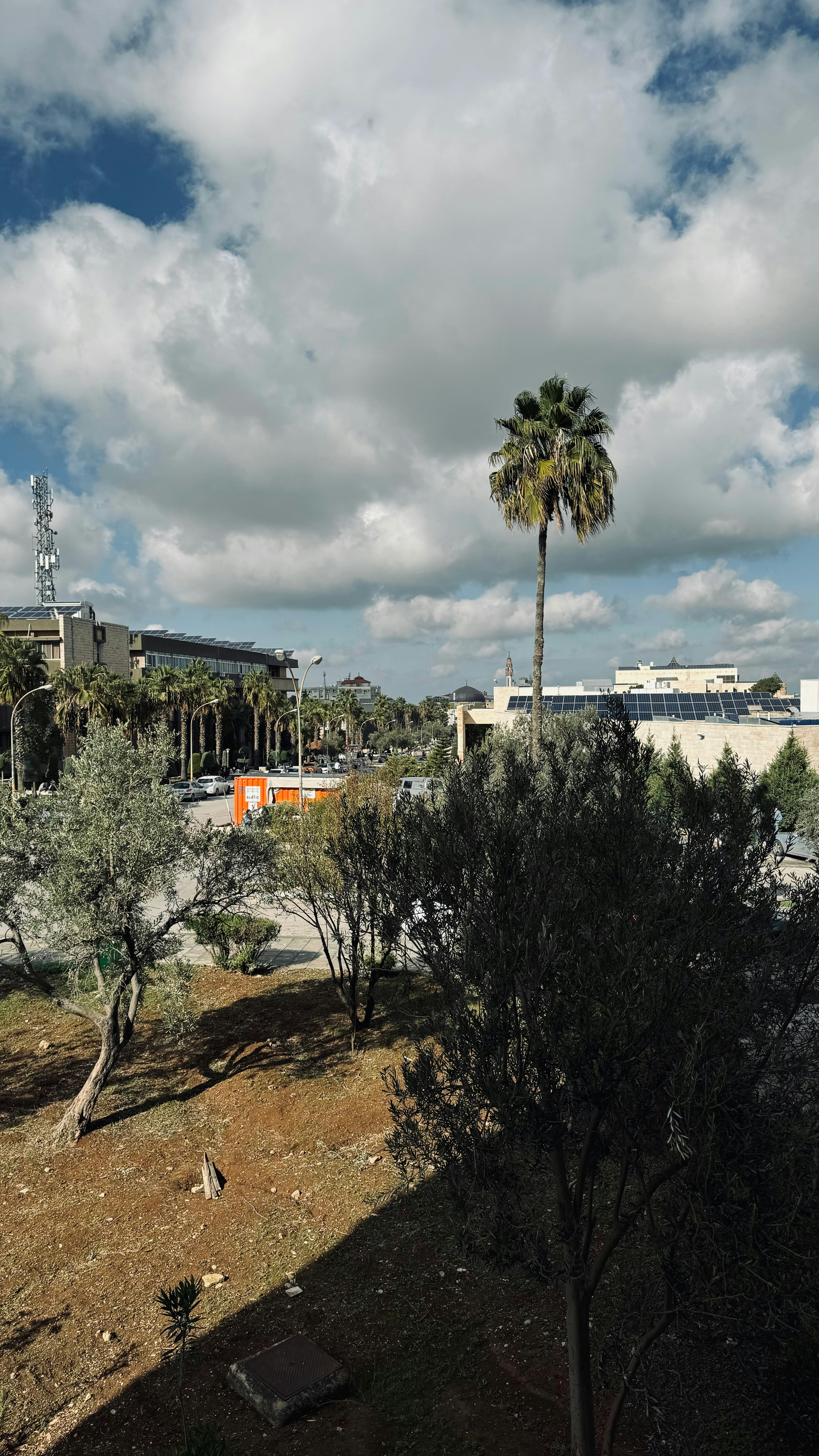 Irbid